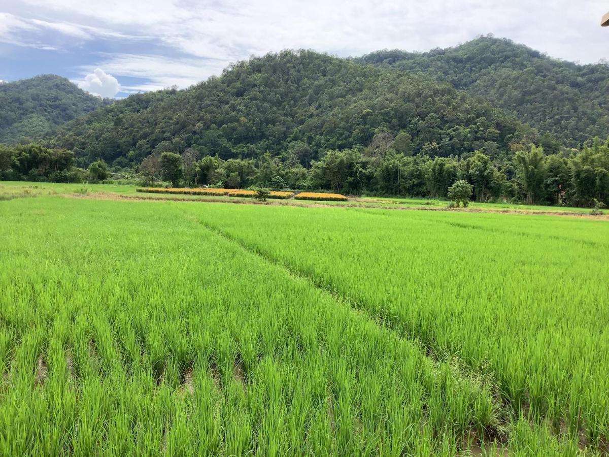 บ้านสวนวิวทุ่ง Ban Mae Sap Nua Buitenkant foto
