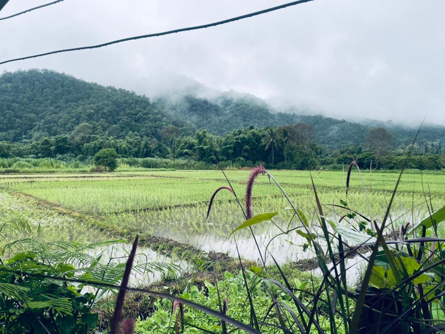 บ้านสวนวิวทุ่ง Ban Mae Sap Nua Buitenkant foto
