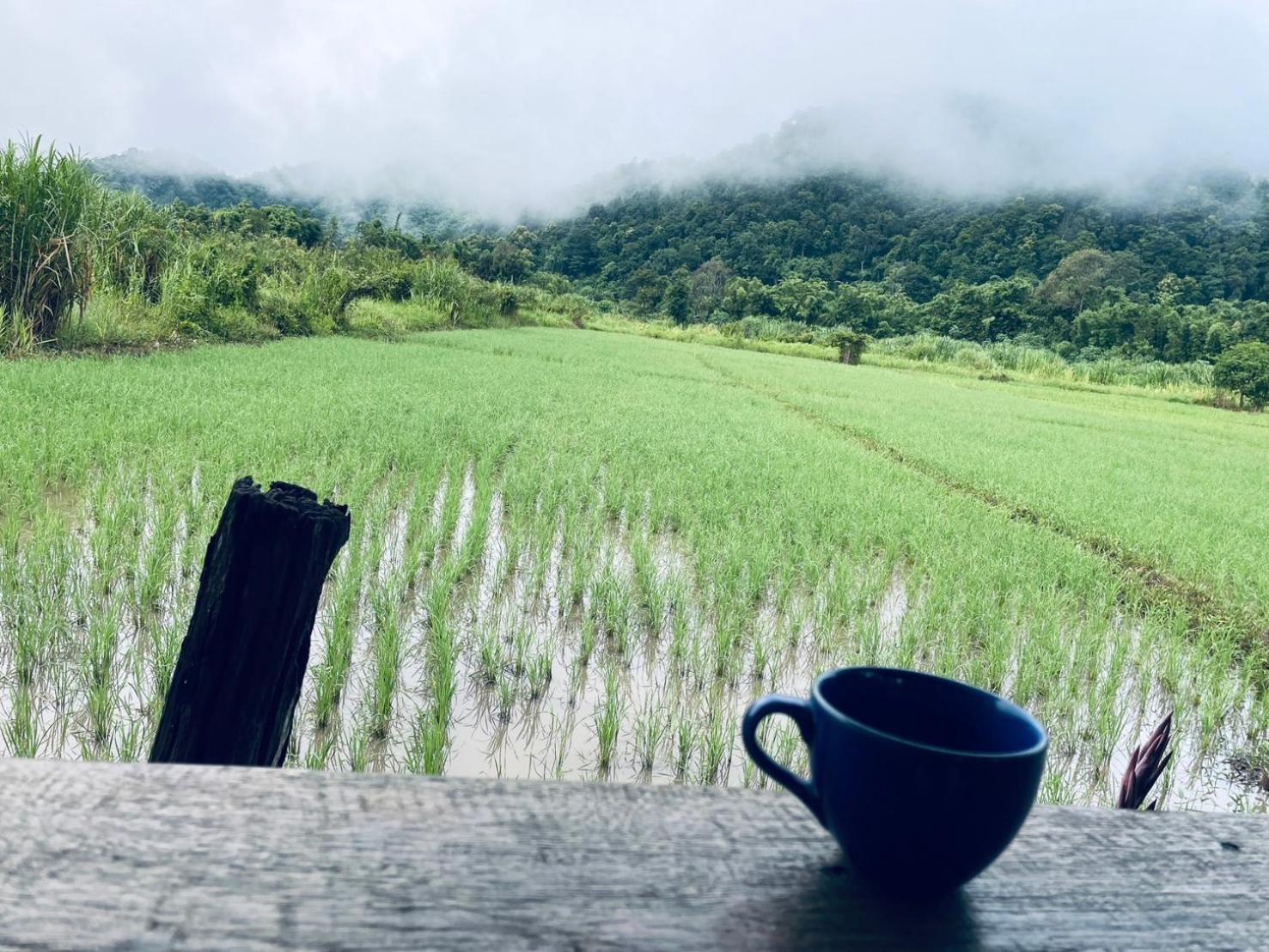 บ้านสวนวิวทุ่ง Ban Mae Sap Nua Buitenkant foto