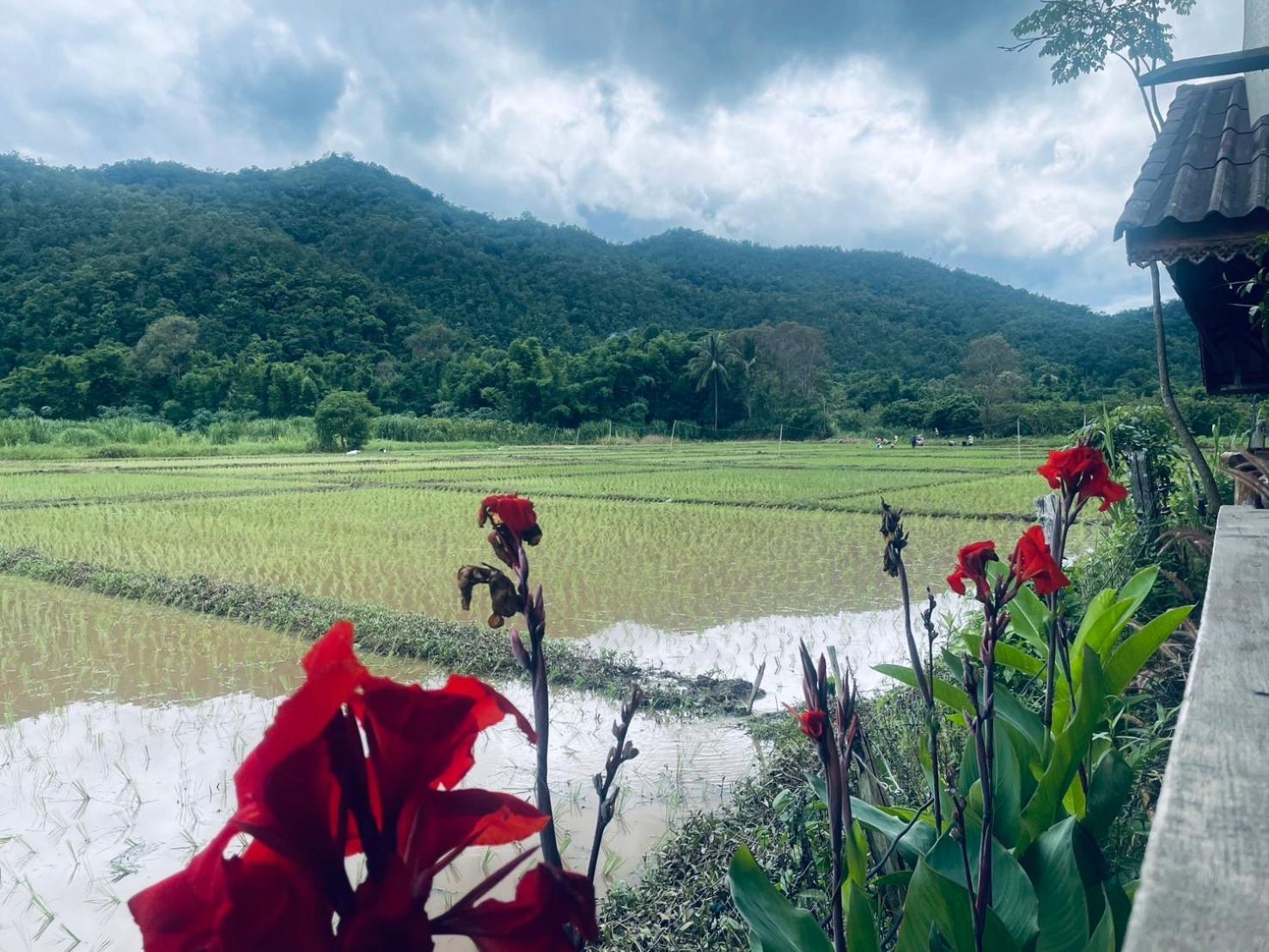 บ้านสวนวิวทุ่ง Ban Mae Sap Nua Buitenkant foto