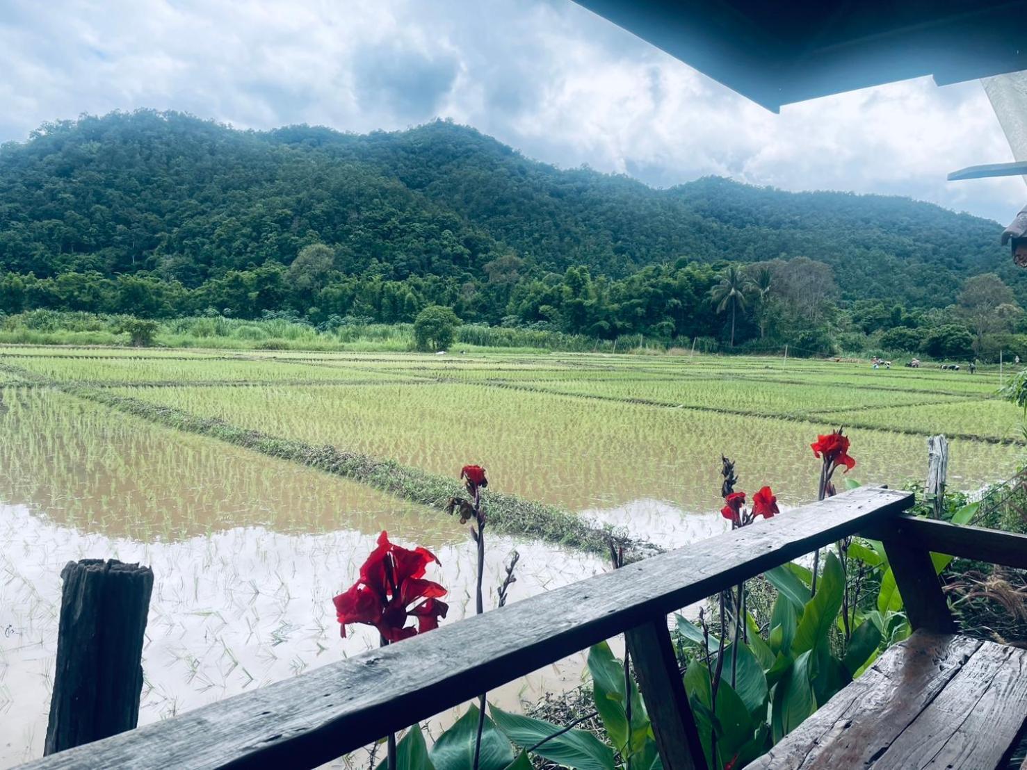 บ้านสวนวิวทุ่ง Ban Mae Sap Nua Buitenkant foto