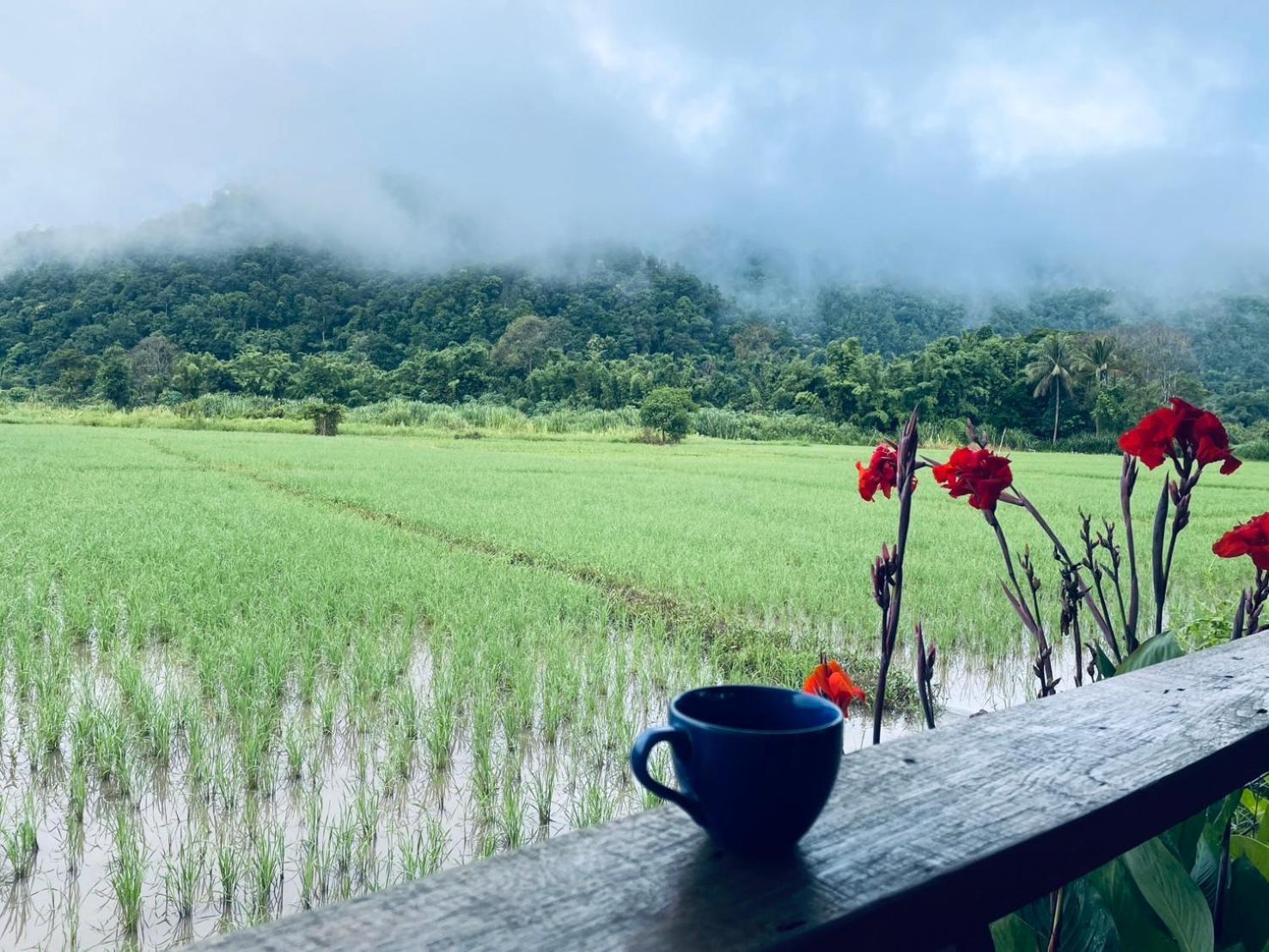 บ้านสวนวิวทุ่ง Ban Mae Sap Nua Buitenkant foto
