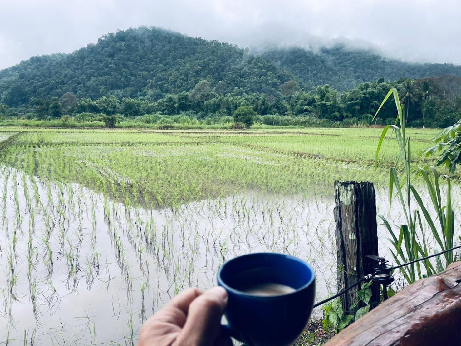 บ้านสวนวิวทุ่ง Ban Mae Sap Nua Buitenkant foto