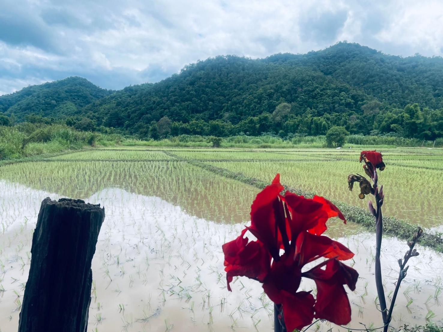 บ้านสวนวิวทุ่ง Ban Mae Sap Nua Buitenkant foto