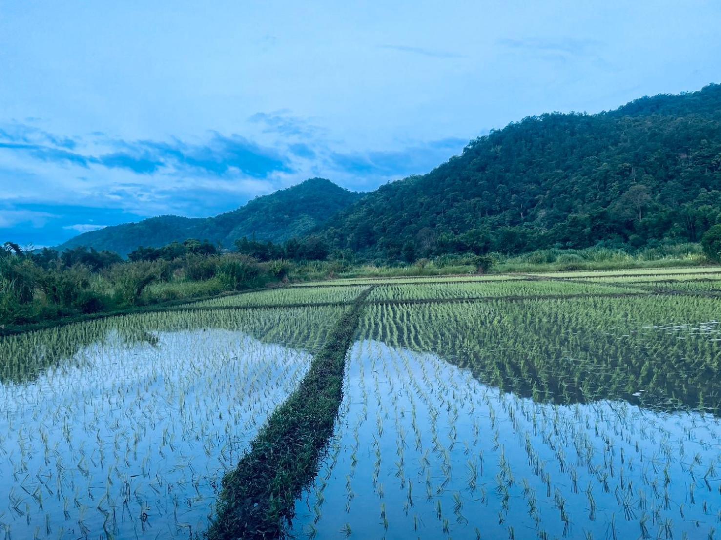 บ้านสวนวิวทุ่ง Ban Mae Sap Nua Buitenkant foto