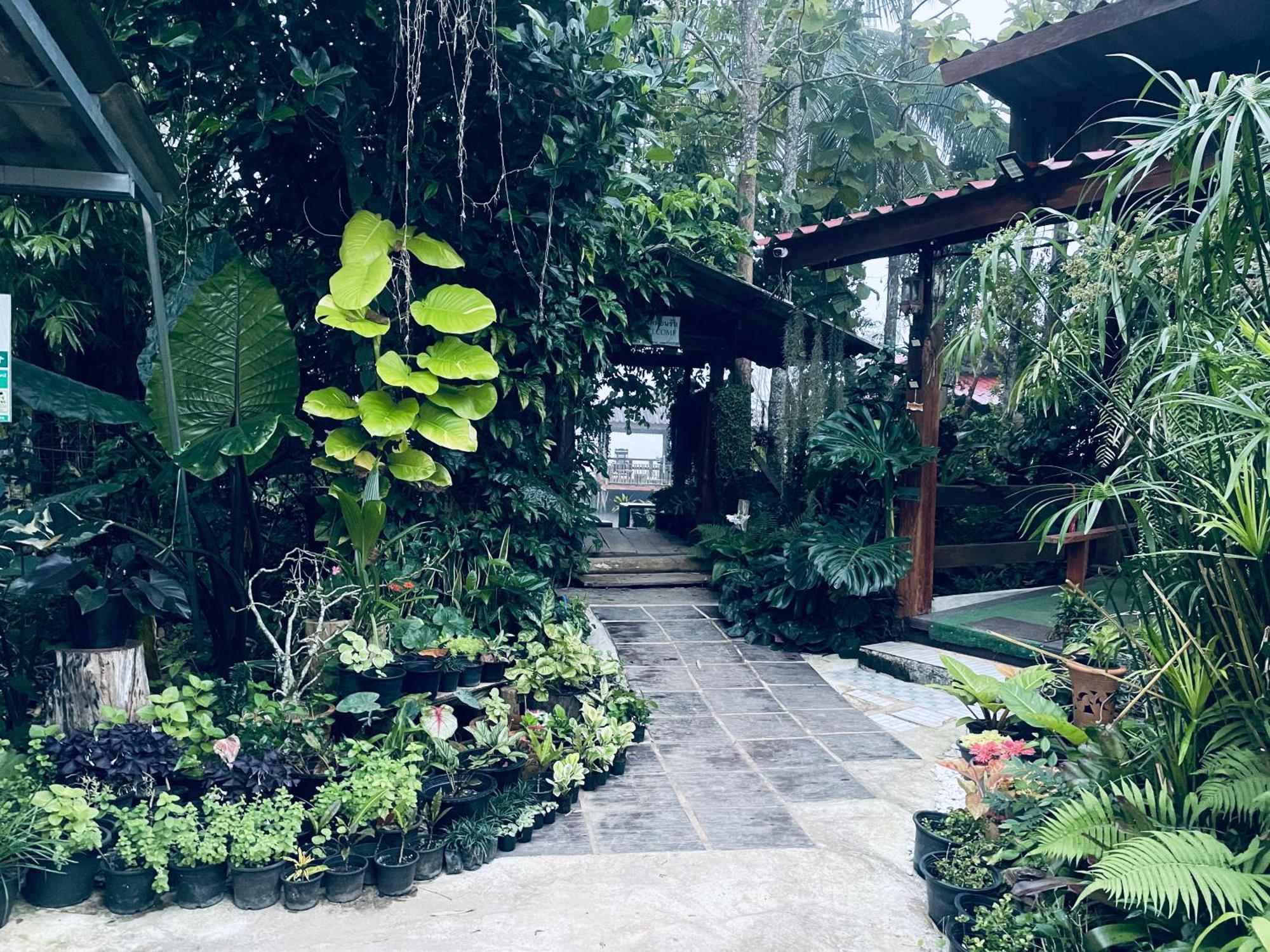 บ้านสวนวิวทุ่ง Ban Mae Sap Nua Buitenkant foto