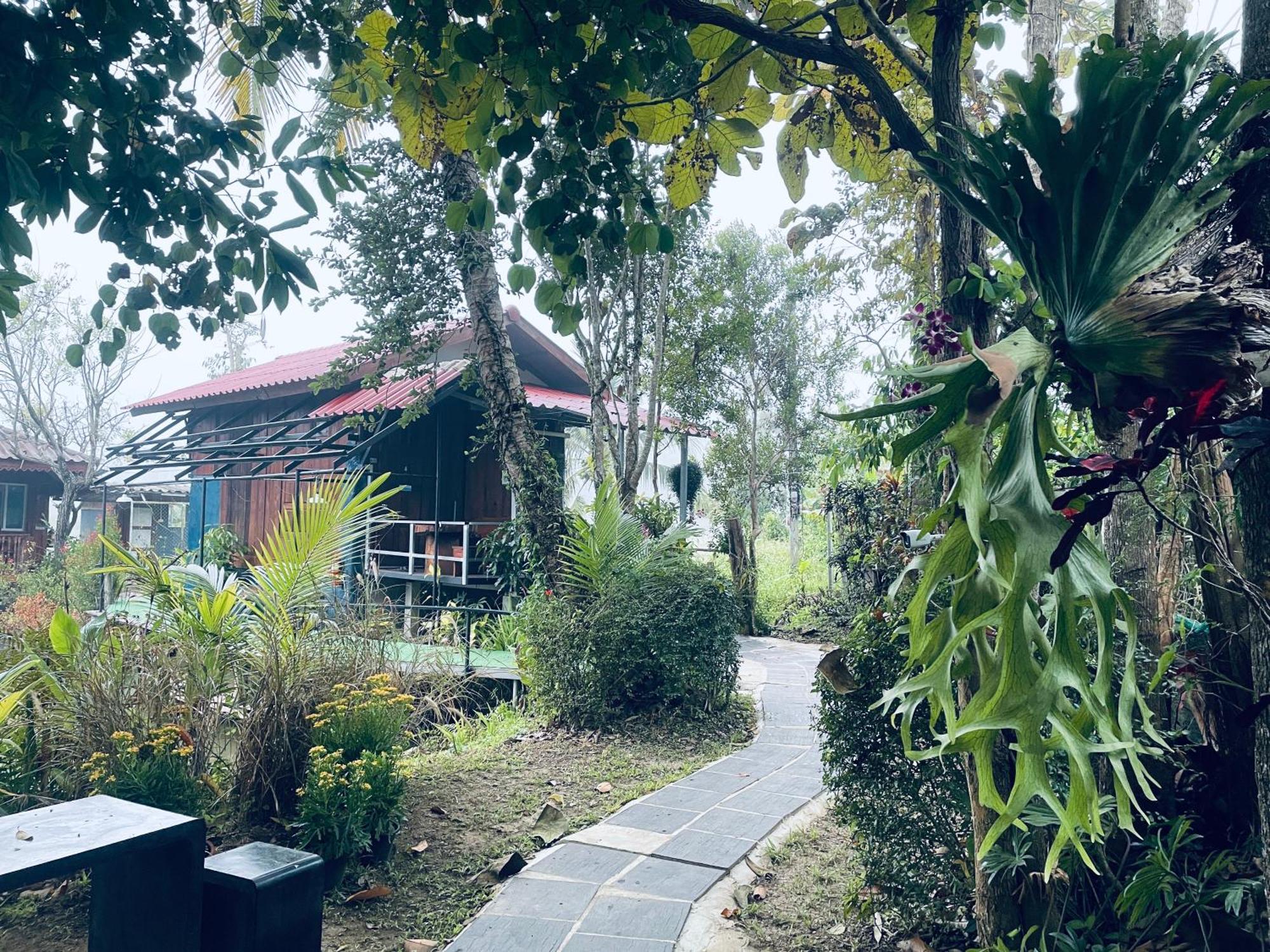 บ้านสวนวิวทุ่ง Ban Mae Sap Nua Buitenkant foto